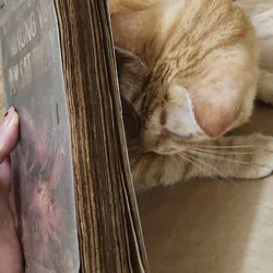 V. P  Borovicka NHỮNG VỤ ÁM SÁT THẾ KỶ 702961