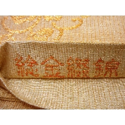 Đai lưng túi - Hàng hiệu Authentic 876233