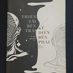 Thiên tài bên trái, kẻ điên bên phải - Cao Minh 722285