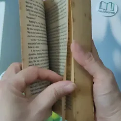 Showdown - Tilly Bagshawe 1027176