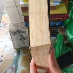 Lý Quang Diệu Kỷ Luật Thép Của Singapore 604092