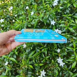 Cats and Kittens 995238