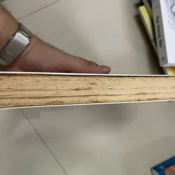 Thinsulin giảm cân đẹp dáng và suốt đời, Nguyễn Song Tuấn Tú Charles, mới 80% (Hoi-SBM) 30996