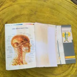 TỪ ĐIỂN Y HỌC ANH - VIỆT  nhà xuất bản từ điển Bách Khoa 790404