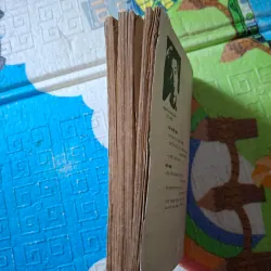 Những Vẻ Đẹp Thơ 995062