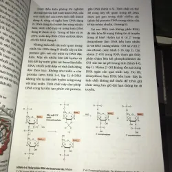 Sinh học phân tử của tế bào tập 2  1010154