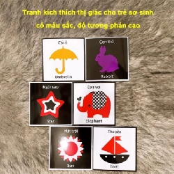 Thẻ Flashcard Kích Thích Thị Giác Cho Trẻ Sơ Sinh 0-1 Tuổi Zic Zắc 531098