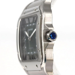 Cartier Santos-Du-Cartier LM WSSA0062 SS Automatic - Hàng hiệu Chính hãng 881014