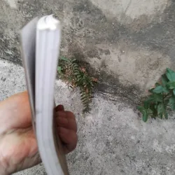 Nghệ thuật múa rối cổ truyền đất Thăng Long  1006701