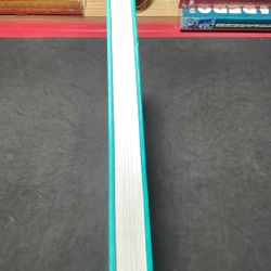 Các nhân vật nổi tiếng trong lịch sử qua truyện tranh Pascale Bouchie 305568