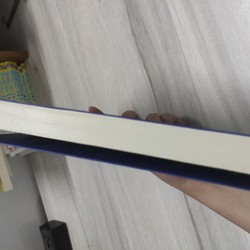 Tiểu thuyết Kẻ trộm voi (sách mới) 145478