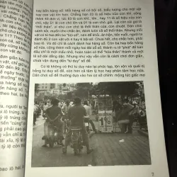 khi tình yêu dẫn lối  1011333