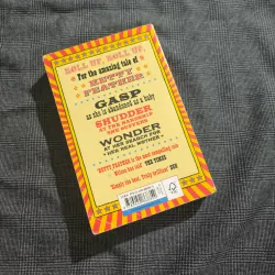 Hetty Feather - Jacqueline Wilson  1010580