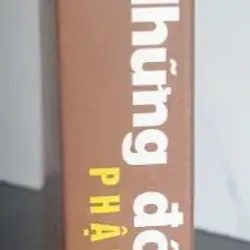 Sách Những đóa hoa Phật giáo Việt Nam Thích Thiện Nhơn 675216