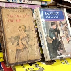 Lô sách nhà văn Pháp Alphonse Daudet: Những cánh thư hè và Thằng nhóc