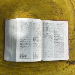 TỪ ĐIỂN VIỆT - HÀN 998146