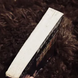 Chỉ tại con chim chích choè 719073