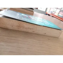 Little fires everywhere - Celeste Ng 575815