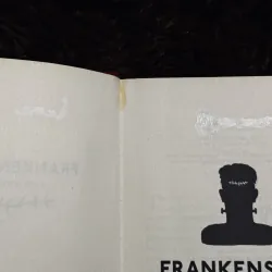 Frankenstein (bìa cứng) 778404