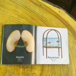 COMBO TỪ VỰNG TIẾNG ANH: HIỂU ĐỂ NHỚ & NHỮNG CHỮ CÁI KÌ DIỆU 737766