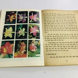 CẨM NANG NUÔI TRỒNG VÀ KINH DOANH PHONG LAN 595069