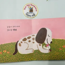 Set boardbook tiếng Hàn cho bé B27 1040781