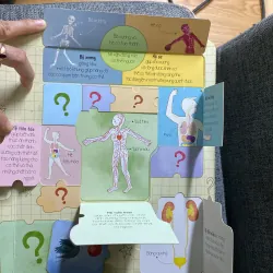 The human body cơ thể người 765876