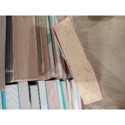 Từng có một người yêu tôi như sinh mệnh - Thư Nghi 191864