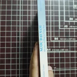 Nước Đại Nam đối diện với Pháp và Trung Hoa - Yoshiharu Tsuboi 731167