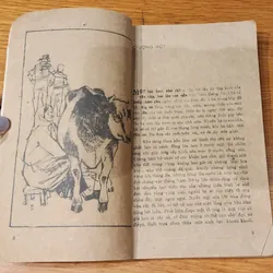 JODY & NAI CON (tác giả: Marjorie Kinnan Rawlings) 706899