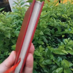 Robinson Crusoe của Daniel Defoe 974356