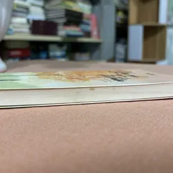 Yêu anh hơn cả tử thần 🌊 594011