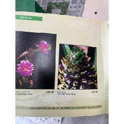 Hương sắc Đồng bằng 752035