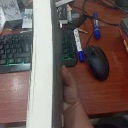 1367 _ Chan Ho Kei 1026591