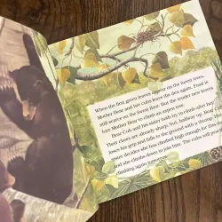 Black Bear Cub 974762