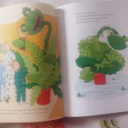 Snapper: The Perfect Christmas Tree 1002051