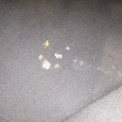 Túi xách Louis Vuitton Monogram Mini Run Bucket PM M95226 615618