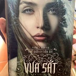 Tiểu thuyết Vua Sắt 303486