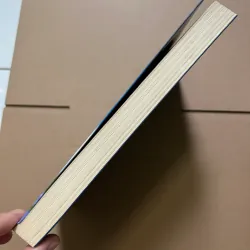 Để gió cuốn đi - Ái Vân 748225