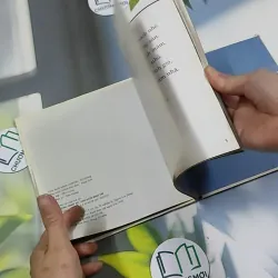 Ý Hoa ( Song Ngữ) - Hồ Anh Thái 750833