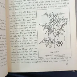 CÂY RAU LÀM THUỐC - VÕ VĂN CHI 746967