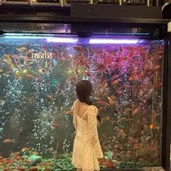 Đầm đi tiệc, dạo phố size S , màu kem. Mặc 1 lần còn mới