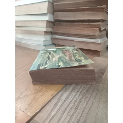 Forêt vierge - Ferreira de Castro 1011034