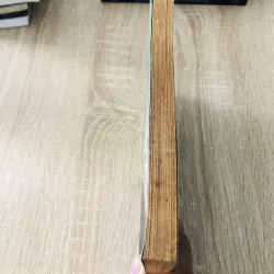 HỒ SƠ HÌNH SỰ NHỮNG VỤ LỪA ĐẢO NỔI TIẾNG THẾ GIỚI (T3) 1004049