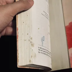 Paris 11 tháng 8 1011491