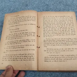 CHỢ ĐÊM QUÊ TÔI - NGUYỄN VĂN TRẤN 957485