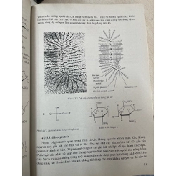 Cơ sở hoá sinh - PGS, TS. Trịnh Lê Hùng 994444