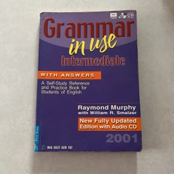 Grammar in use Intermediate 