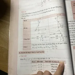 Sách chinh phục 8+ luyện thi môn toán vào 10 theo chủ đề  999882