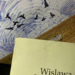 Thơ Wislawa Szymborska 547469